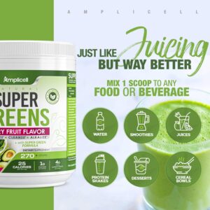 Super Greens Powder Review